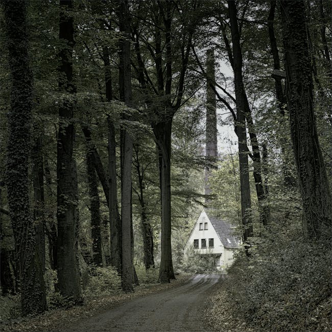 You are currently viewing What is House Logo