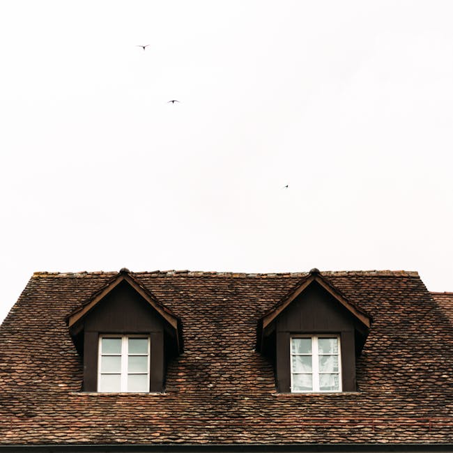 You are currently viewing What is House Svg