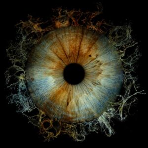 Read more about the article What is Human Sketch Anatomy