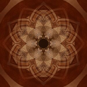 Read more about the article What is Illustration Awards