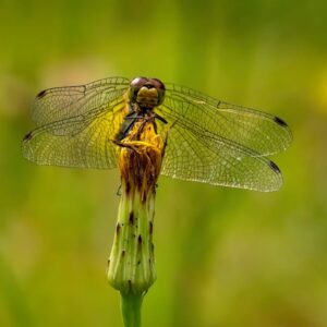 Read more about the article What is Interactive User Onboarding