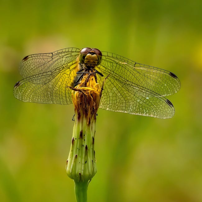 You are currently viewing What is Interactive User Onboarding