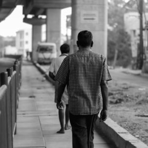 Read more about the article What is Lato Typeface