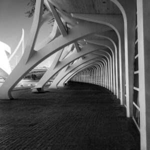 Read more about the article What is Leading Typeface