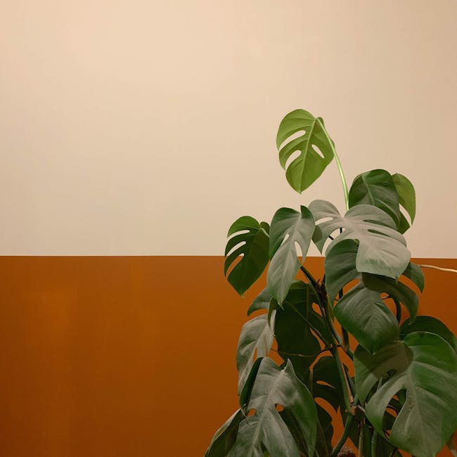 You are currently viewing What is Leaf Svg