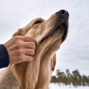 Read more about the article What is Loyalty Program Management