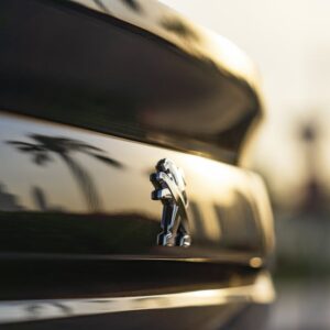 Read more about the article What is Lux Car Logo