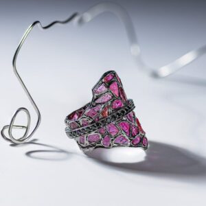 Read more about the article What is Mac Svg Editor