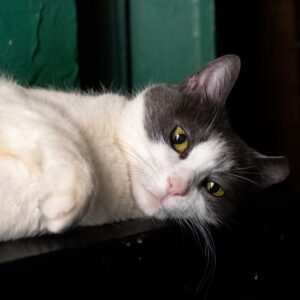 Read more about the article What is Mark Making