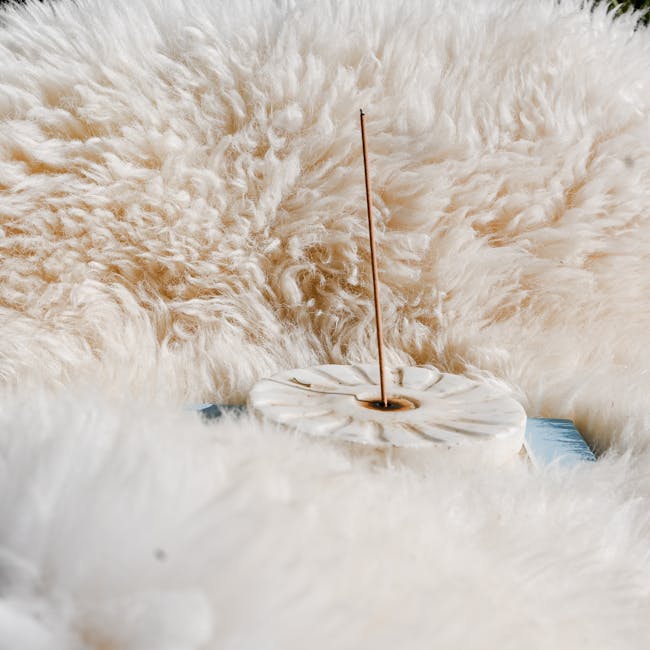 You are currently viewing What is Minimal Aesthetic Room