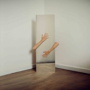 Read more about the article What is Minimal Lion Tattoo