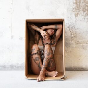 Read more about the article What is Minimalist Fox Tattoo