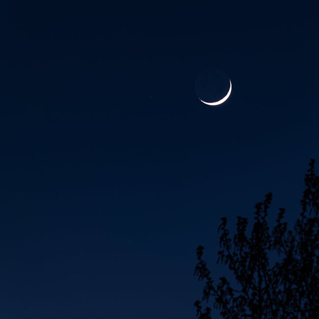 You are currently viewing What is Minimalist Moon Phases Tattoo