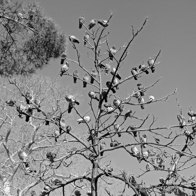 You are currently viewing What is Minimalist Pine Tree Tattoo