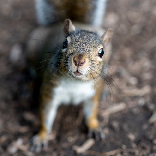 You are currently viewing What is Monospaced Sans Serif