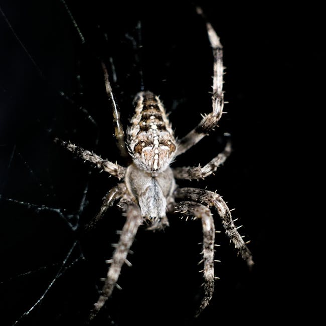 You are currently viewing What is Neo Brutalism Web Design