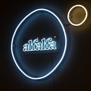 Read more about the article What is Neon Light Typeface