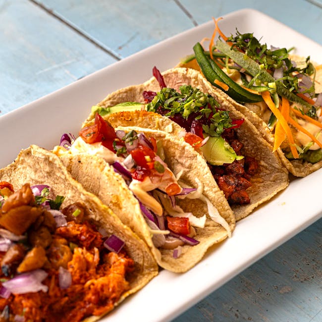 You are currently viewing What is Octopus Svg