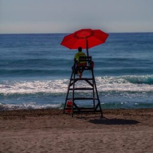 Read more about the article What is Online Brand Protection