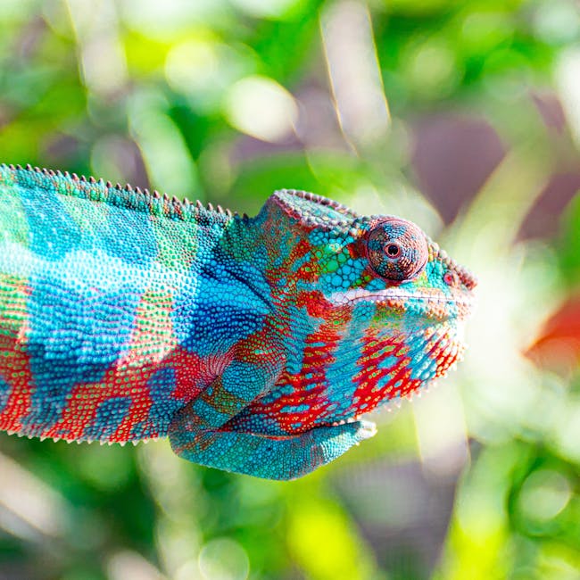 You are currently viewing What is Panther Svg