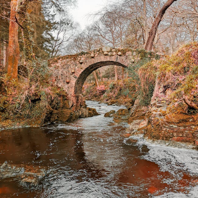 You are currently viewing What is Pantone Color Bridge