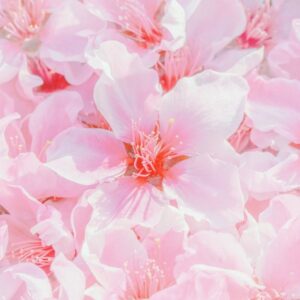 Read more about the article What is Pantone Color Wheel