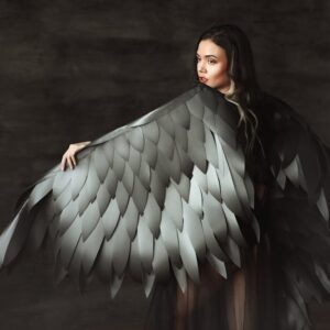 Read more about the article What is Phoenix Logo