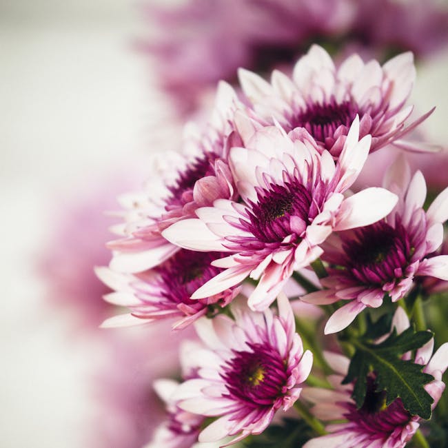 You are currently viewing What is Pop Color Palette