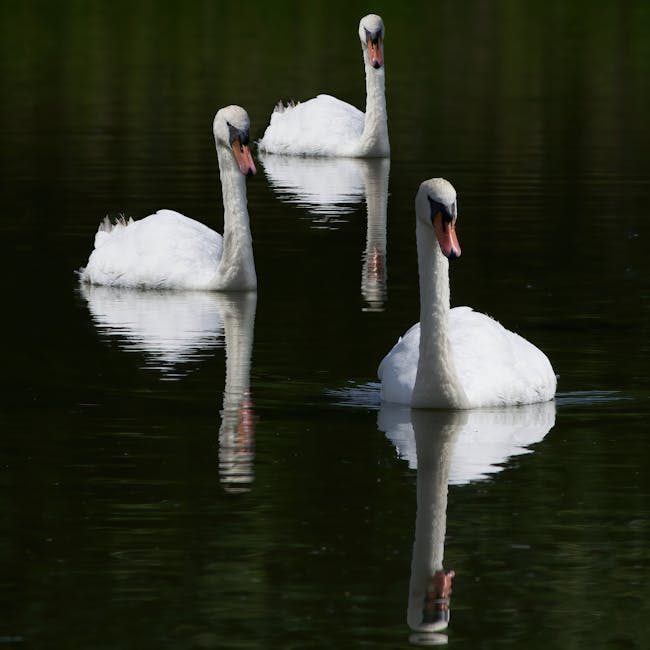 You are currently viewing What is Popular Sans Serif