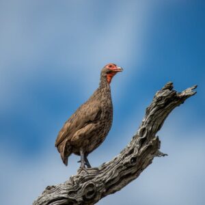 Read more about the article What is Primary Colors