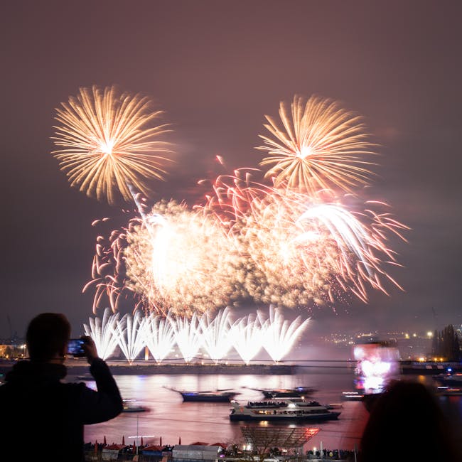 You are currently viewing What is Product Research Portfolio