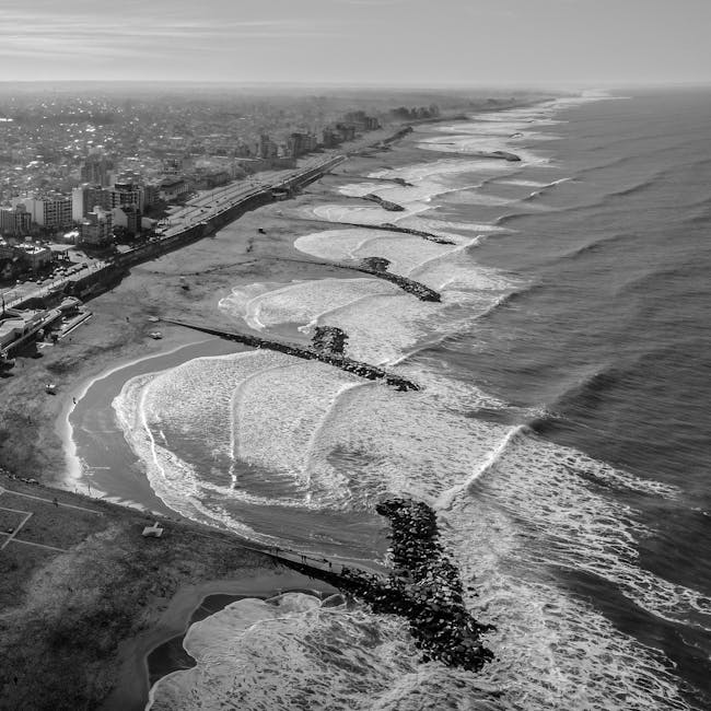 You are currently viewing What is Responsive Logo Development Plan