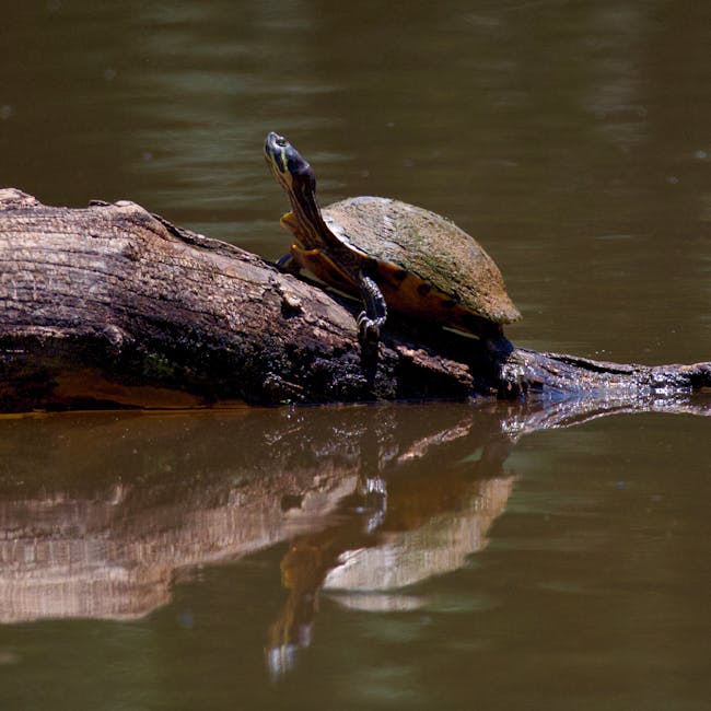 You are currently viewing What is Revision Log