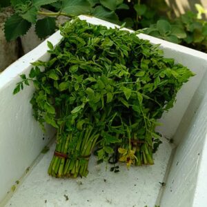 Read more about the article What is Staples Rebrand