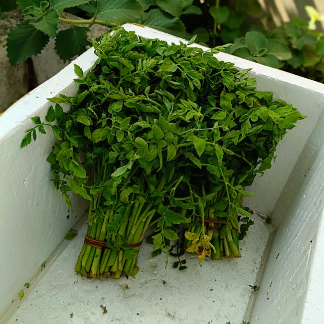 You are currently viewing What is Staples Rebrand