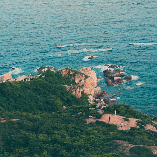 You are currently viewing What is Summer Svg