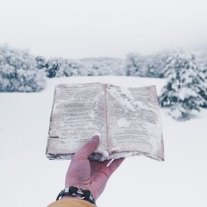 Read more about the article What is Sun Text Symbol