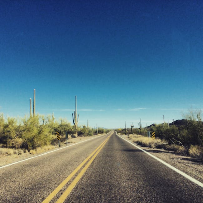 You are currently viewing What is Sunshine Svg