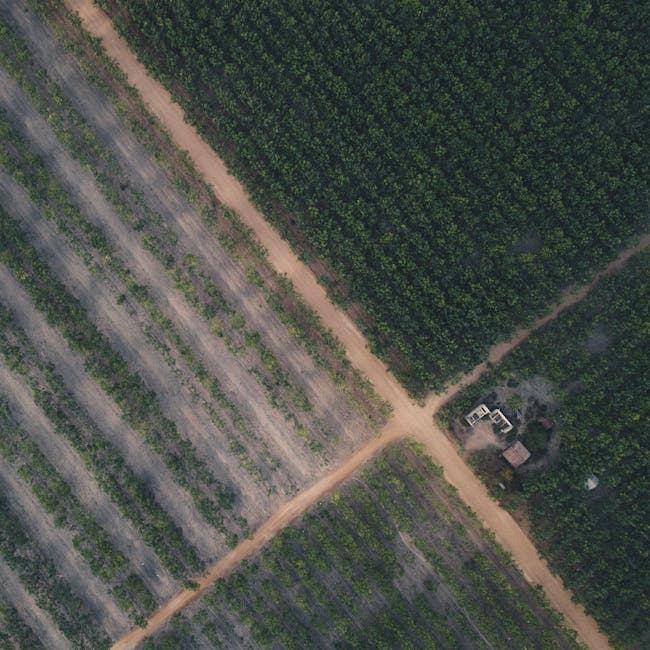 You are currently viewing What is Sustainable Brand Development