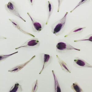 Read more about the article What is Symmetrical Balance Design