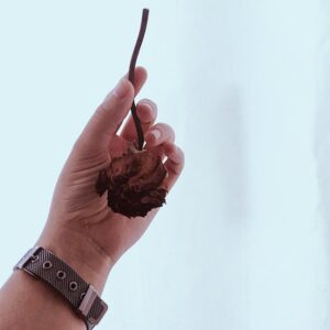 Read more about the article What is Tan Olive Skin Tone