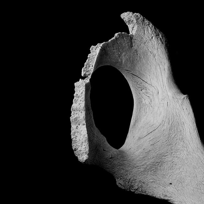 You are currently viewing What is Typeface Anatomy