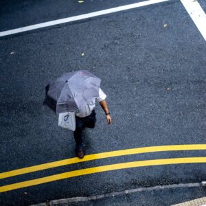 Read more about the article What is Umbrella Corp Logo