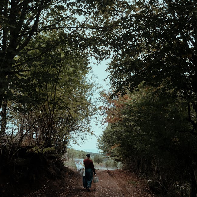 You are currently viewing What is UX Discovery