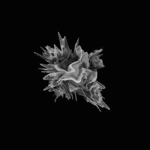 Read more about the article What is Visual Spatial Sketch Pad