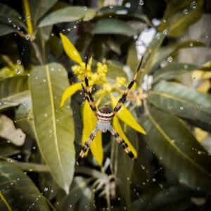 Read more about the article What is Web Page Wireframe